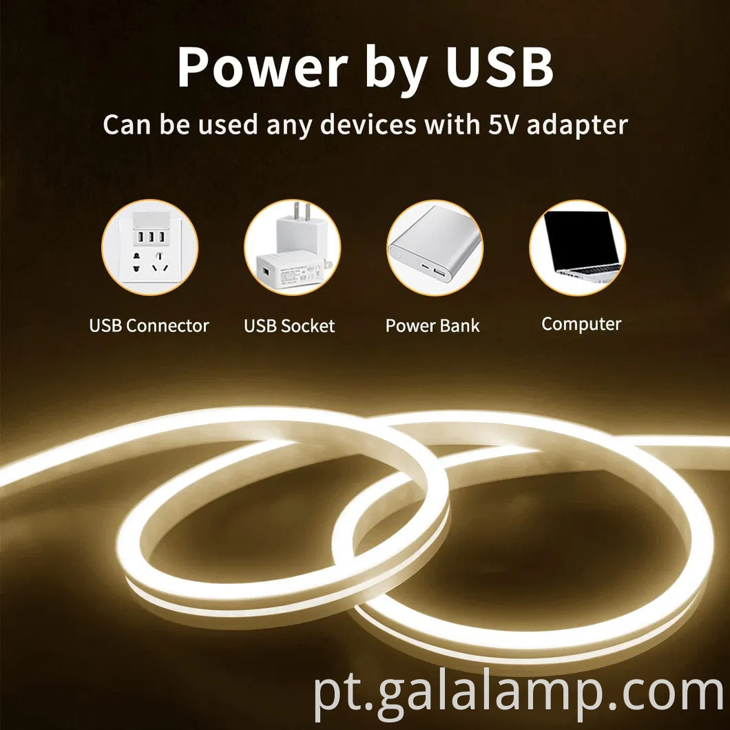 Luzes de tira de neon de silicone IP67 flexíveis coloridas para decoração de casa e jardim